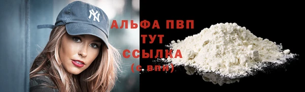 стаф Волоколамск