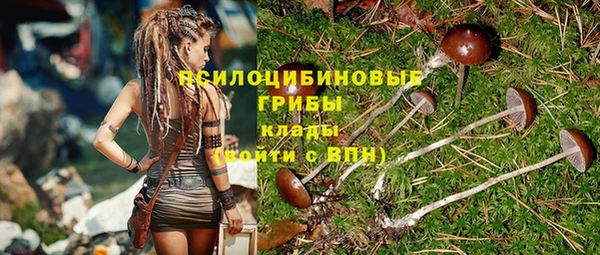 стаф Волоколамск