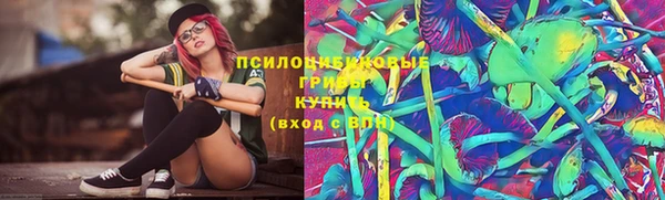 стаф Волоколамск
